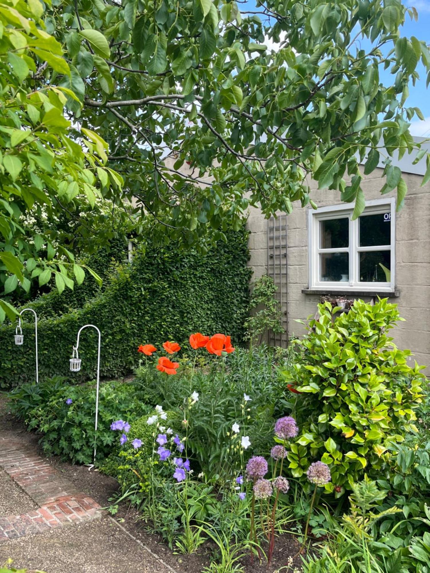 Logies Tuin Der Zinnen Rijkevorsel Exterior foto
